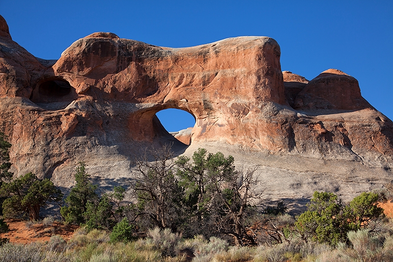 Tunnel Arch